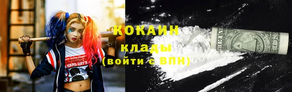 хмурый Белокуриха