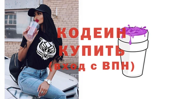 хмурый Белокуриха