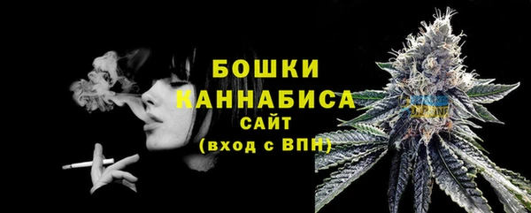 хмурый Белокуриха