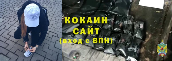 хмурый Белокуриха