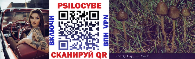 Псилоцибиновые грибы Psilocybine cubensis Салаир